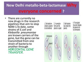 New Delhi metallo-beta-lactamase Why
everyone concerned ?
• There are currently no
new drugs in the research
pipelines that aim to stop
NDM-1.To date, some
strains of E.coli and
Klebseilla pneumoniae
are known carriers of the
gene, but the gene can be
transmitted from one
strain of bacteria to
another through
HORIZONTAL GENE
TRANSFER.
 