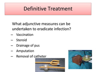Definitive Treatment
What adjunctive measures can be
undertaken to eradicate infection?
– Vaccination
– Steroid
– Drainage of pus
– Amputation
– Removal of catheter
 