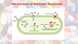 Mechanisms of Antibiotic Resistance
1. Pump the antibiotic out from the bacterial cell.
2. Decrease permeability of the me...