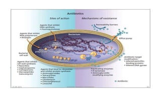 Antibiotic resistance mechanisms | PPTX