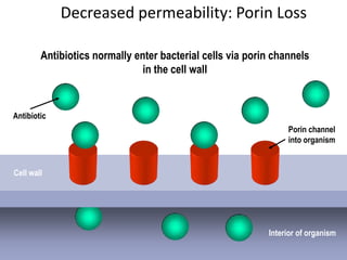 Decreased permeability: Porin Loss

        Antibiotics normally enter bacterial cells via porin channels
                               in the cell wall


Antibiotic
                                                                Porin channel
                                                                into organism


Cell wall




                                                           Interior of organism
 