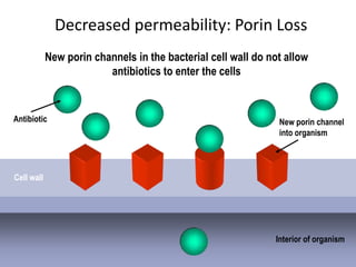 Decreased permeability: Porin Loss
            New porin channels in the bacterial cell wall do not allow
                         antibiotics to enter the cells


Antibiotic                                                     New porin channel
                                                               into organism




Cell wall




                                                              Interior of organism
 