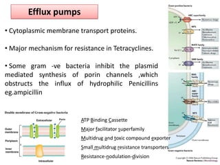 Efflux pumps
• Cytoplasmic membrane transport proteins.

• Major mechanism for resistance in Tetracyclines.

• Some gram -ve bacteria inhibit the plasmid
mediated synthesis of porin channels ,which
obstructs the influx of hydrophilic Penicillins
eg.ampicillin


                         ATP Binding Cassette
                         Major facilitator superfamily
                         Multidrug and toxic compound exporter
                         Small multidrug resistance transporters
                         Resistance-nodulation-division
 