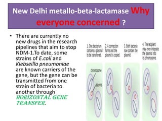 New Delhi metallo-beta-lactamase Why
      everyone concerned ?
• There are currently no
  new drugs in the research
  pipelines that aim to stop
  NDM-1.To date, some
  strains of E.coli and
  Klebseilla pneumoniae
  are known carriers of the
  gene, but the gene can be
  transmitted from one
  strain of bacteria to
  another through
  horizontal gene
  transfer.
 