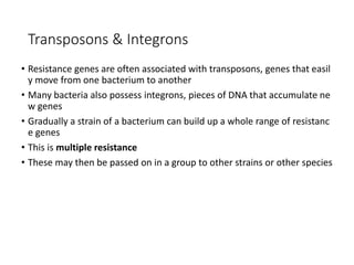 18
Transposons & Integrons
• Resistance genes are often associated with transposons, genes that easil
y move from one bacterium to another
• Many bacteria also possess integrons, pieces of DNA that accumulate ne
w genes
• Gradually a strain of a bacterium can build up a whole range of resistanc
e genes
• This is multiple resistance
• These may then be passed on in a group to other strains or other species
 