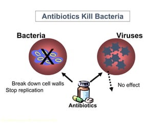 3
(Adapted from Levin BR, Clin Infect Dis 2001)
Antibiotics Kill Bacteria
Viruses
Bacteria
No effect
Antibiotics
X
Break down cell walls
Stop replication
 