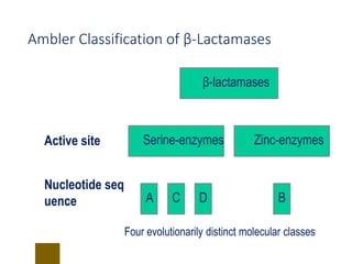 30
Ambler Classification of β-Lactamases
Active site
Nucleotide seq
uence
Four evolutionarily distinct molecular classes
A C D
Serine-enzymes
B
Zinc-enzymes
β-lactamases
 