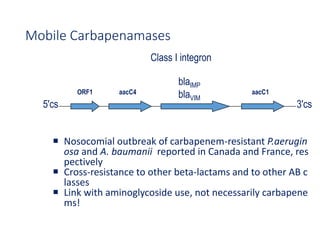 35
ORF1 aacC4 aacC1
blaIMP
blaVIM
Class I integron
5'cs 3'cs
Mobile Carbapenamases
 Nosocomial outbreak of carbapenem-resistant P.aerugin
osa and A. baumanii reported in Canada and France, res
pectively
 Cross-resistance to other beta-lactams and to other AB c
lasses
 Link with aminoglycoside use, not necessarily carbapene
ms!
 