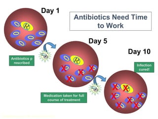 4
(Adapted from Levin BR, Clin Infect Dis 2001)
Antibiotics Need Time
to Work
Antibiotics p
rescribed
Day 5
X X
X
X
Medication taken for full
course of treatment
X
X
X
X
X X
X
Infection
cured!
Day 1
Day 10
 
