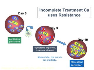 9
(Adapted from Levin BR, Clin Infect Dis 2001)
Incomplete Treatment Ca
uses Resistance
X
X
X
X
X Day 3
Symptoms improved,
treatment stopped
Day 0
Antibiotics
prescribed
Day 10
Resistant
infection
Meanwhile, the surviv
ors multiply.
 