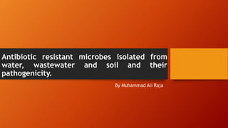 Antibiotic resistant microbes isolated from
water, wastewater and soil and their
pathogenicity.
By Muhammad Ali Raja
 