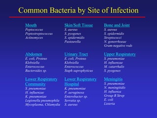 Common Bacteria by Site of Infection
Mouth
Peptococcus
Peptostreptococcus
Actinomyces
Skin/Soft Tissue
S. aureus
S. pyogenes
S. epidermidis
Pasteurella
Bone and Joint
S. aureus
S. epidermidis
Streptococci
N. gonorrhoeae
Gram-negative rods
Abdomen
E. coli, Proteus
Klebsiella
Enterococcus
Bacteroides sp.
Urinary Tract
E. coli, Proteus
Klebsiella
Enterococcus
Staph saprophyticus
Upper Respiratory
S. pneumoniae
H. influenzae
M. catarrhalis
S. pyogenes
Lower Respiratory
Community
S. pneumoniae
H. influenzae
K. pneumoniae
Legionella pneumophila
Mycoplasma, Chlamydia
Lower Respiratory
Hospital
K. pneumoniae
P. aeruginosa
Enterobacter sp.
Serratia sp.
S. aureus
Meningitis
S. pneumoniae
N. meningitidis
H. influenza
Group B Strep
E. coli
Listeria
 