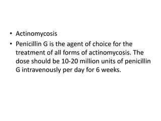 • Actinomycosis
• Penicillin G is the agent of choice for the
treatment of all forms of actinomycosis. The
dose should be 10-20 million units of penicillin
G intravenously per day for 6 weeks.
 