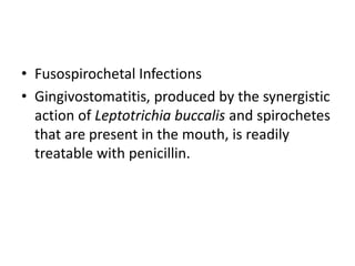 • Fusospirochetal Infections
• Gingivostomatitis, produced by the synergistic
action of Leptotrichia buccalis and spirochetes
that are present in the mouth, is readily
treatable with penicillin.
 