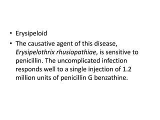 • Erysipeloid
• The causative agent of this disease,
Erysipelothrix rhusiopathiae, is sensitive to
penicillin. The uncomplicated infection
responds well to a single injection of 1.2
million units of penicillin G benzathine.
 
