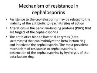 Mechanism of resistance in
cephalosporins
• Resistance to the cephalosporins may be related to the
inability of the antibiotic to reach its sites of action
• Alterations in the penicillin-binding proteins (PBPs) that
are targets of the cephalosporins
• The antibiotics bind to bacterial enzymes (beta-
lactamases) that can hydrolyze the beta-lactam ring
and inactivate the cephalosporin. The most prevalent
mechanism of resistance to cephalosporins is
destruction of the cephalosporins by hydrolysis of the
beta-lactam ring.
 