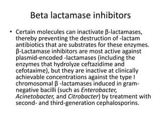 Beta lactamase inhibitors
• Certain molecules can inactivate β-lactamases,
thereby preventing the destruction of -lactam
antibiotics that are substrates for these enzymes.
β-Lactamase inhibitors are most active against
plasmid-encoded -lactamases (including the
enzymes that hydrolyze ceftazidime and
cefotaxime), but they are inactive at clinically
achievable concentrations against the type I
chromosomal β -lactamases induced in gram-
negative bacilli (such as Enterobacter,
Acinetobacter, and Citrobacter) by treatment with
second- and third-generation cephalosporins.
 