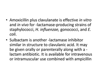 • Amoxicillin plus clavulanate is effective in vitro
and in vivo for -lactamase-producing strains of
staphylococci, H. influenzae, gonococci, and E.
coli.
• Sulbactam is another -lactamase inhibitor
similar in structure to clavulanic acid. It may
be given orally or parenterally along with a -
lactam antibiotic. It is available for intravenous
or intramuscular use combined with ampicillin
 