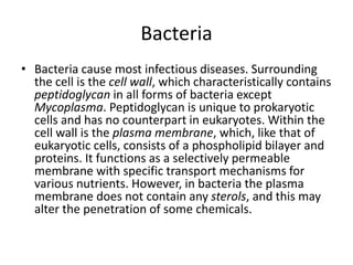 Bacteria
• Bacteria cause most infectious diseases. Surrounding
the cell is the cell wall, which characteristically contains
peptidoglycan in all forms of bacteria except
Mycoplasma. Peptidoglycan is unique to prokaryotic
cells and has no counterpart in eukaryotes. Within the
cell wall is the plasma membrane, which, like that of
eukaryotic cells, consists of a phospholipid bilayer and
proteins. It functions as a selectively permeable
membrane with specific transport mechanisms for
various nutrients. However, in bacteria the plasma
membrane does not contain any sterols, and this may
alter the penetration of some chemicals.
 
