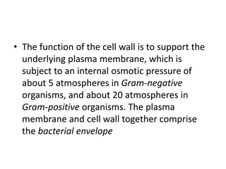 • The function of the cell wall is to support the
underlying plasma membrane, which is
subject to an internal osmotic pressure of
about 5 atmospheres in Gram-negative
organisms, and about 20 atmospheres in
Gram-positive organisms. The plasma
membrane and cell wall together comprise
the bacterial envelope
 