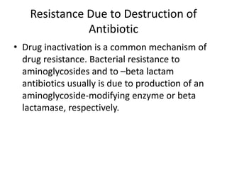 Resistance Due to Destruction of
Antibiotic
• Drug inactivation is a common mechanism of
drug resistance. Bacterial resistance to
aminoglycosides and to –beta lactam
antibiotics usually is due to production of an
aminoglycoside-modifying enzyme or beta
lactamase, respectively.
 