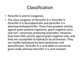 Classification
• Penicillin G and its Congeners
• The close congener of Penicillin G is Penicillin V.
Penicillin G is benzylpenicillin and penicillin V is
phenoxymethylpenicillin. These have greatest activity
against gram-positive organisms, gram-negative cocci,
and non–-lactamase producing anaerobes. However,
they have little activity against gram-negative rods, and
they are susceptible to hydrolysis by lactamases. They
are readily hydrolysed by beta-lactamases and
penicillinases. Penicillin G is acid labile so cannot be
given orally whereas Penicillin V is acid resistant.
 
