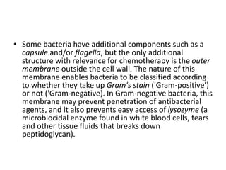 • Some bacteria have additional components such as a
capsule and/or flagella, but the only additional
structure with relevance for chemotherapy is the outer
membrane outside the cell wall. The nature of this
membrane enables bacteria to be classified according
to whether they take up Gram's stain ('Gram-positive')
or not ('Gram-negative). In Gram-negative bacteria, this
membrane may prevent penetration of antibacterial
agents, and it also prevents easy access of lysozyme (a
microbiocidal enzyme found in white blood cells, tears
and other tissue fluids that breaks down
peptidoglycan).
 