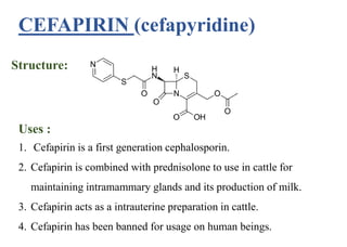 CEFAPIRIN (cefapyridine)
Structure:
Uses :
1. Cefapirin is a first generation cephalosporin.
2. Cefapirin is combined with prednisolone to use in cattle for
maintaining intramammary glands and its production of milk.
3. Cefapirin acts as a intrauterine preparation in cattle.
4. Cefapirin has been banned for usage on human beings.
 