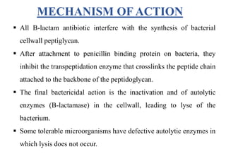 MECHANISM OF ACTION
 All B-lactam antibiotic interfere with the synthesis of bacterial
cellwall peptiglycan.
 After attachment to penicillin binding protein on bacteria, they
inhibit the transpeptidation enzyme that crosslinks the peptide chain
attached to the backbone of the peptidoglycan.
 The final bactericidal action is the inactivation and of autolytic
enzymes (B-lactamase) in the cellwall, leading to lyse of the
bacterium.
 Some tolerable microorganisms have defective autolytic enzymes in
which lysis does not occur.
 