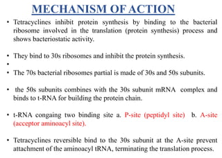 MECHANISM OF ACTION
• Tetracyclines inhibit protein synthesis by binding to the bacterial
ribosome involved in the translation (protein synthesis) process and
shows bacteriostatic activity.
• They bind to 30s ribosomes and inhibit the protein synthesis.
•
• The 70s bacterial ribosomes partial is made of 30s and 50s subunits.
• the 50s subunits combines with the 30s subunit mRNA complex and
binds to t-RNA for building the protein chain.
• t-RNA congaing two binding site a. P-site (peptidyl site) b. A-site
(acceptor aminoacyl site).
• Tetracyclines reversible bind to the 30s subunit at the A-site prevent
attachment of the aminoacyl tRNA, terminating the translation process.
 