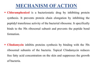 MECHANISM OF ACTION
 Chloramphenicol is a bacteriostatic drug by inhibiting protein
synthesis. It prevents protein chain elongation by inhibiting the
peptidyl transferase activity of the bacterial ribosome. It specifically
binds to the 50s ribosomal subunit and prevents the peptide bond
formation.
 Clindamycin inhibits proteins synthesis by binding with the 50s
ribosomal subunits of the bacteria. Topical Clindamycin reduces
free fatty acid concentration on the skin and suppresses the growth
of bacteria.
 