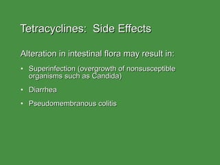 Tetracyclines:  Side Effects Alteration in intestinal flora may result in: Superinfection (overgrowth of nonsusceptible organisms such as Candida) Diarrhea Pseudomembranous colitis 