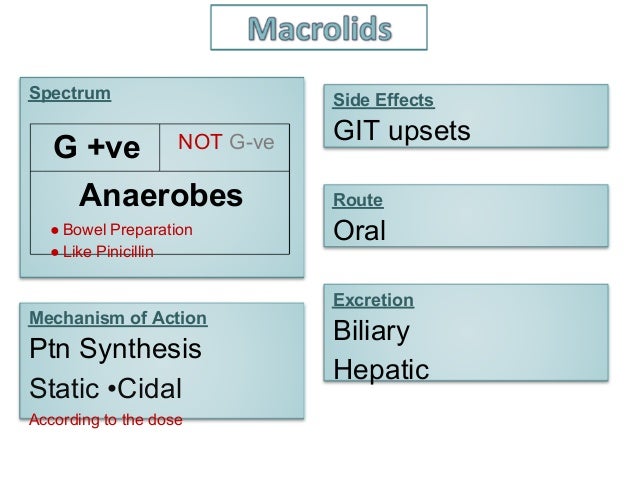 Is Zithromax Nephrotoxic
