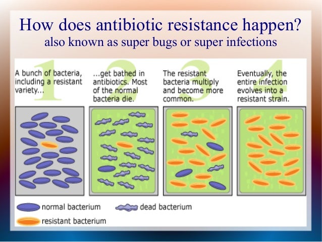 Antibiotics
