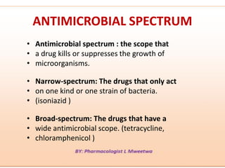 Antibiotics | PDF