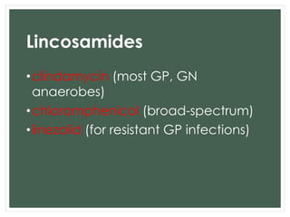 Lincosamides 
•clindamycin (most GP, GN 
anaerobes) 
•chloramphenicol (broad-spectrum) 
•linezolid (for resistant GP infections) 
 