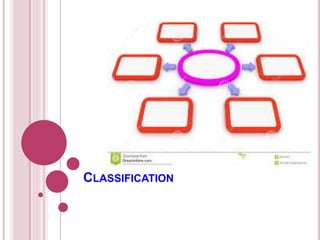 CLASSIFICATION 
 