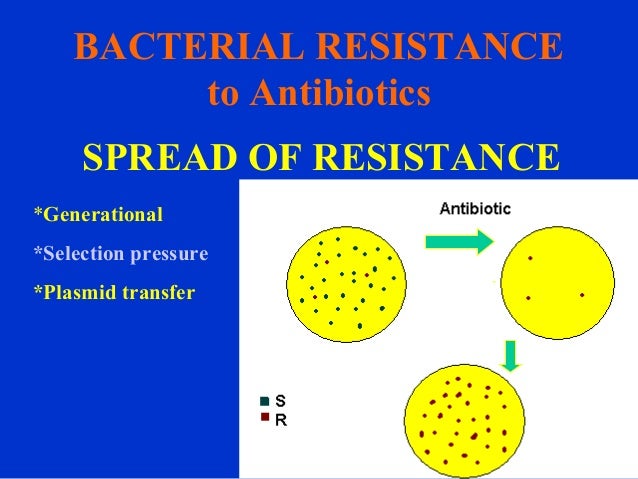 Antibiotics