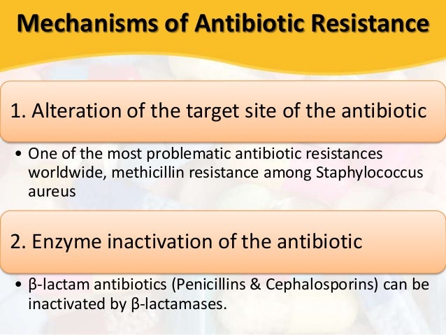 Erythromycin Antibiotic Resistance