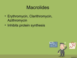 Macrolides
• Erythromycin, Clarithromycin,
Azithromycin
• Inhibits protein synthesis
 