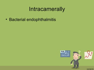 Intracamerally
• Bacterial endophthalmitis
 