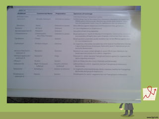 Antibiotics in ophthalmology