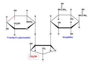 O
H
OH
H
H
CH2OH
HOH
NHCH3
O
OH
CH2OH
CH3
H OH
H
H NH.C.NH2
H
H
OHH
OH
HNH.C.NH2
H OH
O
NH
NH
N-methyl-L-glucosamine Streptidine
 