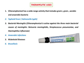THERAPEUTIC USES
1. Chloramphenicol has a wide range activity that includes gram+, gram-, aerobic
and anaerobic bacteria
2. Typhoid Fever ( Salmonella typhi)
3. Bacterial Meningitis (Chloramphenicol is active against the three main bacterial
causes of meningitis: Neisseria meningitidis, Streptococcus pneumoniae, and
Haemophilus influenzae)
4. Anaerobic Infections
5. Rickettsial Diseases
6. Brucellosis
 
