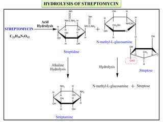 O
H
OH
H
H
CH2OH
HOH
NHCH3
O
OH
CHO
CH3
H OH
H
H
OH
NH.C.NH2
H
H
OHH
OH
HNH.C.NH2
H OH
OH
NH
NH
N-methyl-L-glucosamine
Streptose
Streptidine
STREPTOMYCIN
Acid
Hydrolysis
C21H39N7O12
N-methyl-L-glucosamine Streptose
HydrolysisAlkaline
Hydrolysis
H
OH
NH2
H
H
OHH
OH
HNH2
H OH
Streptamine
HYDROLYSIS OF STREPTOMYCIN
 