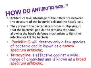 Antibiotics | PPT