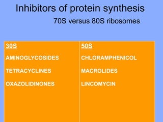 Inhibitors of protein synthesis
70S versus 80S ribosomes
30S
AMINOGLYCOSIDES
TETRACYCLINES
OXAZOLIDINONES
50S
CHLORAMPHENICOL
MACROLIDES
LINCOMYCIN
 