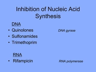 Inhibition of Nucleic Acid
Synthesis
DNA
• Quinolones DNA gyrase
• Sulfonamides
• Trimethoprim
RNA
• Rifampicin RNA polymerase
 