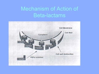 Mechanism of Action of
Beta-lactams
 
