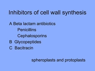 Inhibitors of cell wall synthesis
A Beta lactam antibiotics
Penicillins
Cephalosporins
B Glycopeptides
C Bacitracin
spheroplasts and protoplasts
 